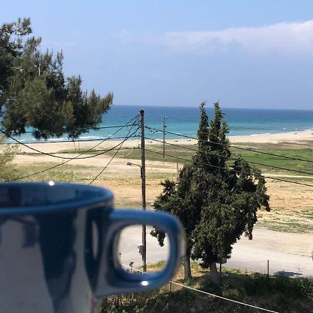 Halkidiki Beach Apartments 2 Nea Kalikratia Vergia Beach Nea Kallikrateia Eksteriør billede